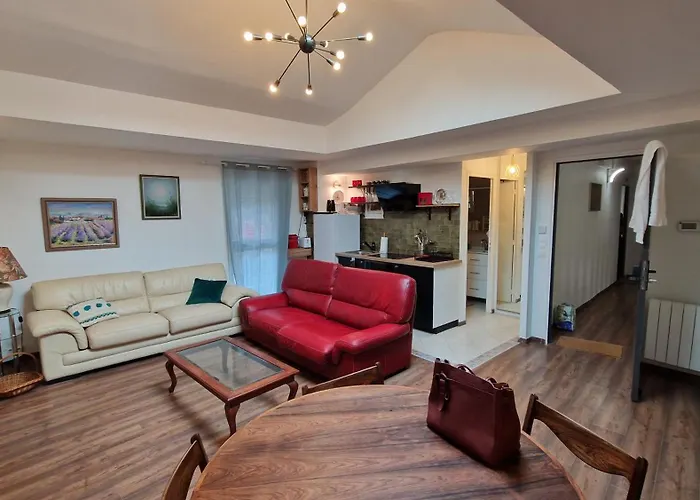 L'hirondelle Apartment Château-Thierry